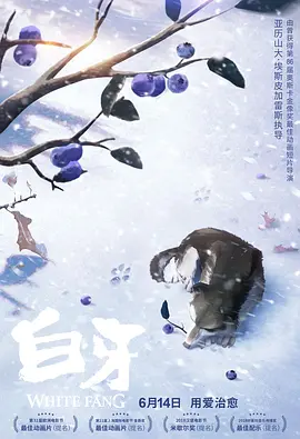 亚洲黄视频在线观看
