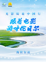日本视频一区二区免费播放