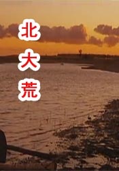 电影 avdvd
