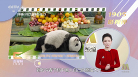 珍珠内裤怎么穿会刺激